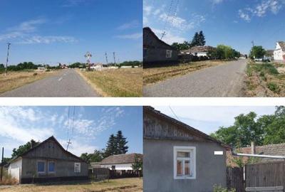 Cota de 1/2 din casa si teren Loc. Beba Veche jud. Timis, - 4