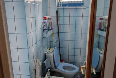 Apartament cu 3 camere decomandat în Precista - 9