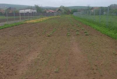 Spațiu comercial, în Mihai Viteazu - 5