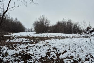 Teren de 2100 mp, în Cărbunari - 3