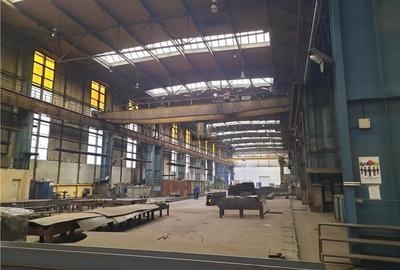 Spatiu Industrial, Clasa B, 5000 mp, Craiova - 3