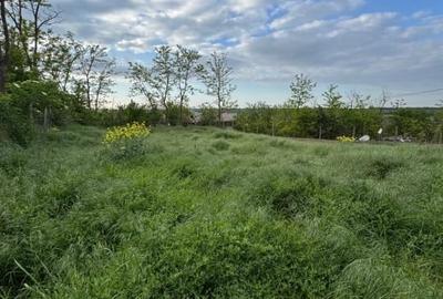 Casă individuală cu 3 camere cu Teren 850 Mp în Tămădău Mic - 8