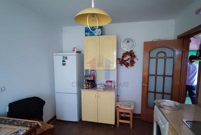 Vila P 1 Pod, teren 270 mp, Mobilata si Utilata, Chiscani - 11