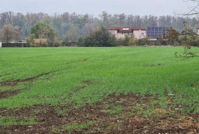 Teren de 3000 mp, în Brănești