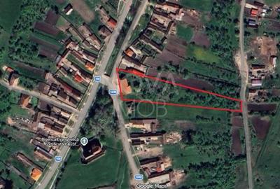 Spațiu comercial, de 500 mp, în Brădeni - 5