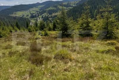 Teren în Vălișoara - 5