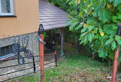 Casa Vulcana de sus pret 90000 euro - 8