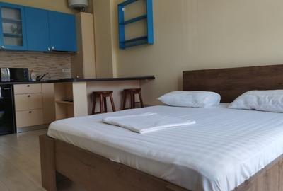 Garsonieră decomandată în Nord - 5