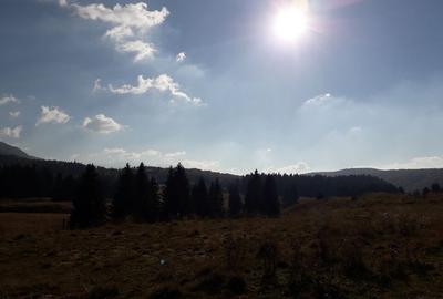 Ocazie unica la licitatie: Teren cu Potential Turistic Major in Poiana Brasov - 4