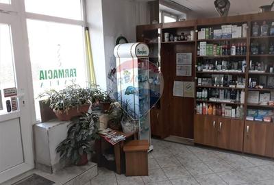 Spațiu comercial, 78 mp în Gruia