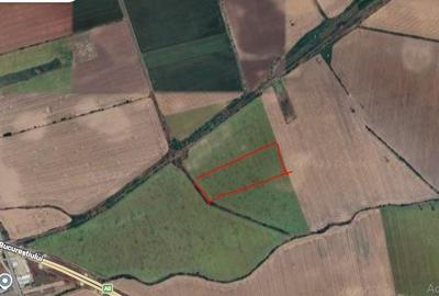 Teren agricol intravilan de 51182 mp, în Tunari - 2