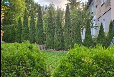 Eleganta si istorie: Apartament 4 camere in Centrul Istoric - 2