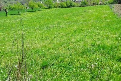 Teren de 961 mp, în Ștefănești