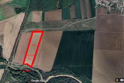 Teren agricol – 90.000 mp, Comuna Puchenii Mari, jud. Prahova - 3