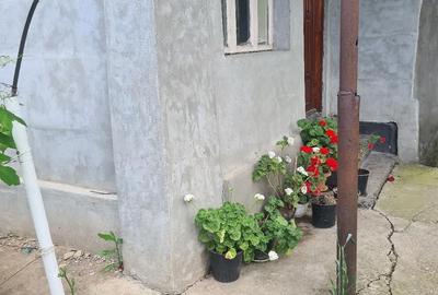 Casă cu 6 camere cu Teren 2 Mp în Parepa-Rușani - 3