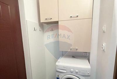 Apartament cu 1 camera de inchiriat in Micalaca - 4