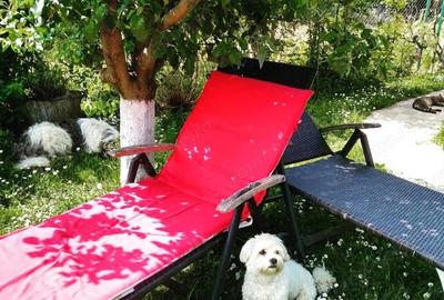 Casă cu Teren 1800 Mp în Dejani - 3