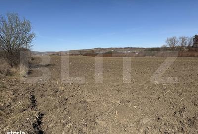 Teren de 4000 mp, în Hereclean - 1