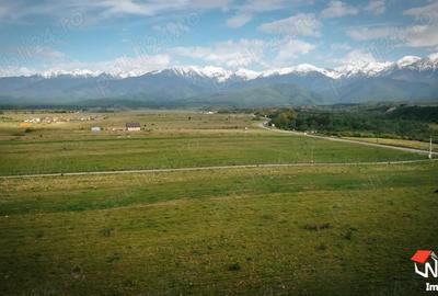 Teren superb zona Valea Avrigului Teren superb zona Valea Avrigului - 3