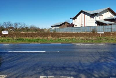 Teren în Dascălu - 3