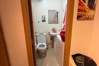 Apartament cu 3 camere semidecomandat, mobilat în Bucovina - 10