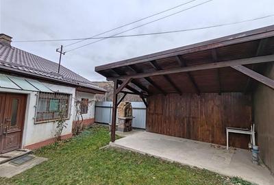 Casa , singur in curte la intrarea in ZIZIN - 2