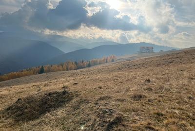 Teren de 6131 mp, în Rășinari - 3
