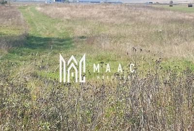 Teren Intravilan | 3.900 Mp Talmaciu | - 1