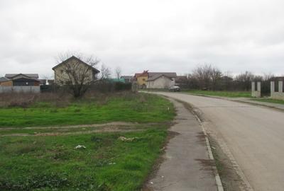 Cornetu - Crizantemelor, Stradal - 7