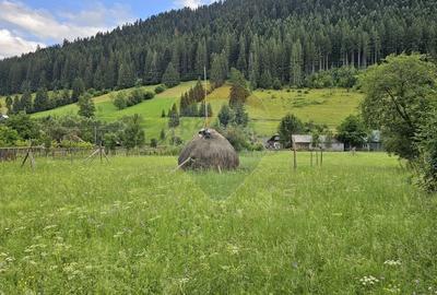 Casa 225 mp, teren intravilan 4822 mp C. Moldovenesc, Suceava - 29