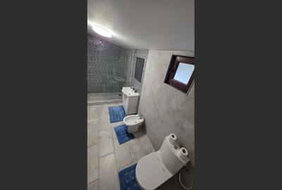 Casă P+1 golful Mraconia cu vedere la apă, 2 km de Chipul lui Decebal Casă P+1 golful Mraconia cu vedere la apă, 2 km de Chipul lui Decebal - 14