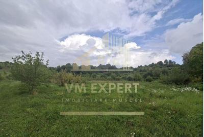 TEREN 20.621 MP CAMPULUNG - 10