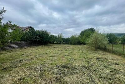 Teren intravilan 556mp Bârnova - pret negociabi - 5