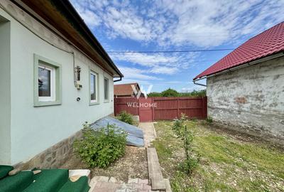 Casă individuală cu 2 camere cu Teren 868 Mp în Arpașu de Sus - 28
