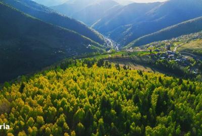 Casă cu 4 camere în Plopi - 12