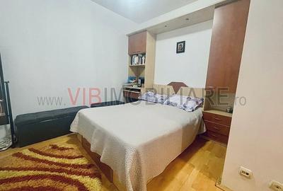 Drumul Taberei - Studio - Valea Ialomitei - C Brancusi - 3