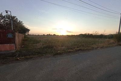 Teren de 2500 mp, în Copaciu - 3
