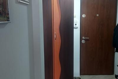 Valea Oltului, garsoniera 43 mp, Brancusi - 5