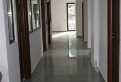 Birou, de 900 mp, în Domenii - 2