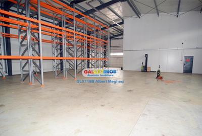 Hala 572 mp Chiajna - 6