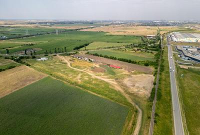 Teren de 30000 mp, în Cernica - 2