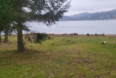 Teren de 1000 mp, în Colibița - 3