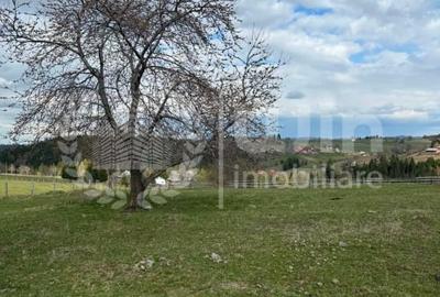 Teren Construcții intravilan de 1716 mp, în Mărișel - 2