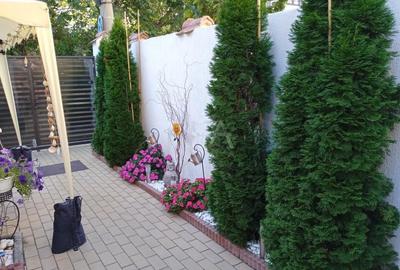 Casă individuală cu 2 camere cu Canalizare în Dorobanți - 18