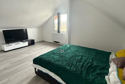 Casă individuală  P+M mobilata în Lumina , 200 mp , construcție 2025 - 6