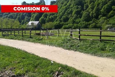 Teren agricol extravilan de 2491 mp, în Vest - 1