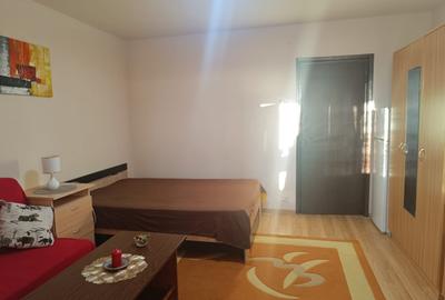Garsonieră semidecomandată, mobilată în Dristor - 13