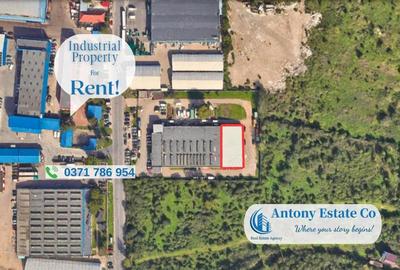 Spațiu comercial, de 350 mp, în 6 Vânători - 2