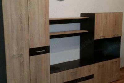 Apartament cu o camera Sagului - 4