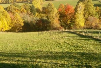 Teren intravilan de vanzare – Bran, Sohodol - 2